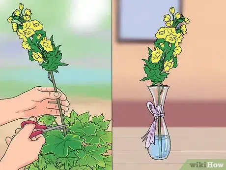 Image titled Grow Delphinium Step 29