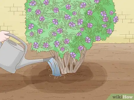 Image titled Care for a Purple Flower Potato Bush Step 5