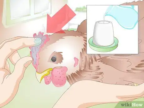 Image titled Treat Frostbite in Chickens Step 13