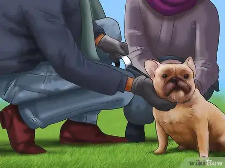 Image titled Help an Emotionally Disturbed Dog Step 8