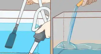 Help Pet Shop Bettas