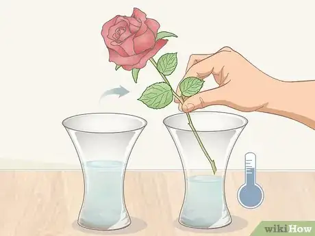 Image titled Force Bloom Flowers Step 3