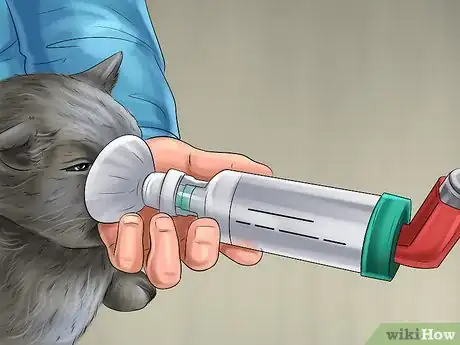 Image titled Check Your Cat's Nose Step 8