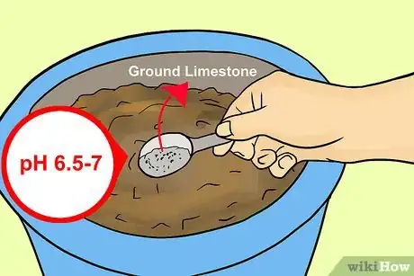 Image titled Grow Lisianthus Step 3