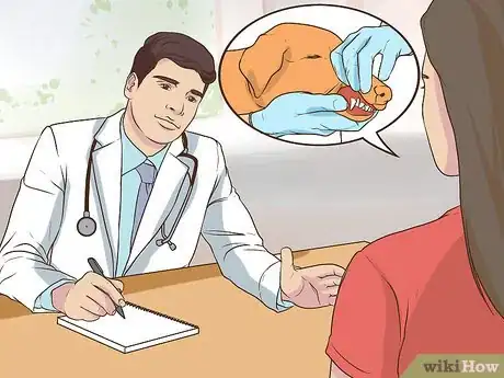 Image titled Get a Complete Geriatric Work Up for Your Dog Step 9