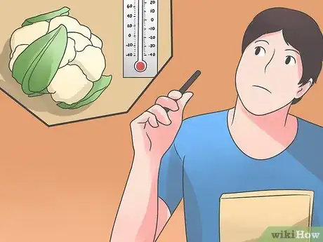 Image titled Grow Cauliflower Step 1