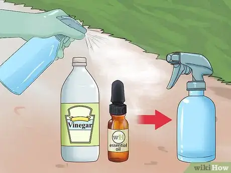 Image titled Protect Small Yard Animals from Cats Step 5