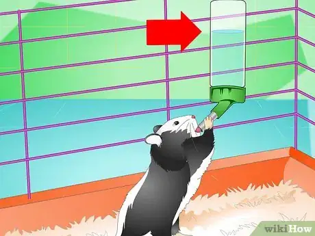 Image titled Keep a Hamster Healthy Step 14