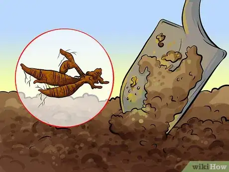 Image titled Eat Kudzu Step 5