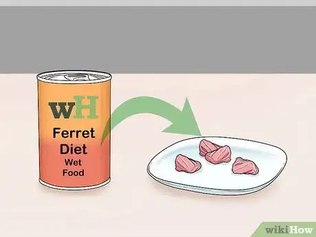 Image titled Feed a Ferret Step 7