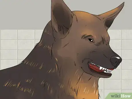 Image titled Treat Urinary Tract Problems in Dogs Step 4