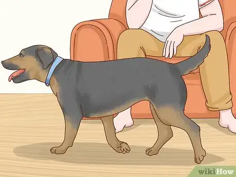 Image titled Recognize Signs of Anxiety in Dogs Step 10