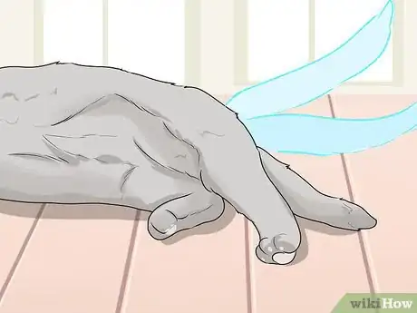 Image titled Figure Out Your Cat's Mood Step 16