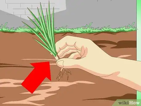 Image titled Dry Foods Step 4