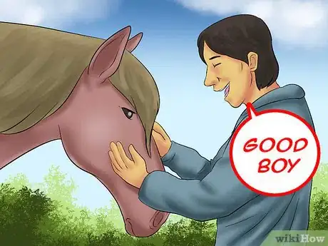 Image titled Load a Horse on a Trailer Step 12