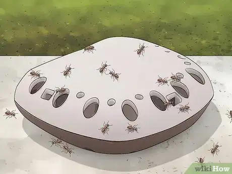 Image titled Get Rid of Ants in the Garden Step 4