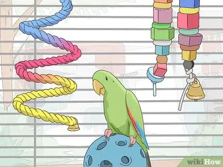 Image titled Set Up an Eclectus Habitat Step 5