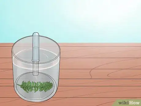 Image titled Show Oxygen Is a By Product of Photosynthesis Step 7