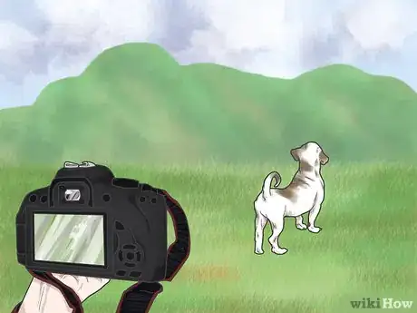 Image titled Photograph Pets Step 4