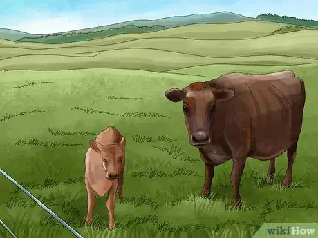Image titled Manage Pastures Using Rotational or Management Intensive Grazing Step 21