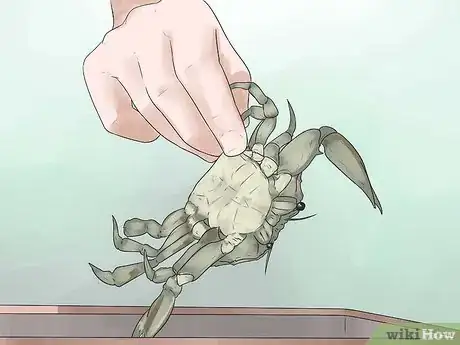 Image titled Catch a Crab Step 17