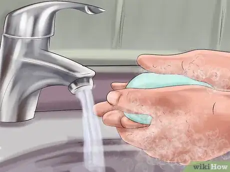 Image titled Prevent Infection from Toxoplasmosis Step 6