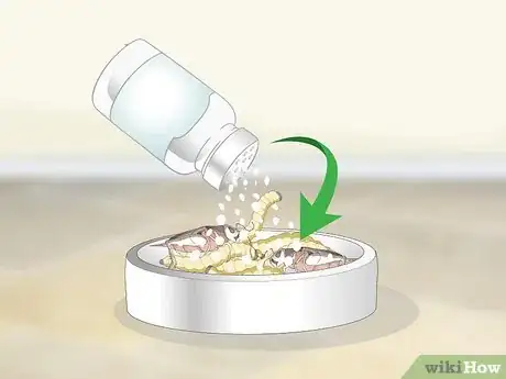 Image titled Care for a Tokay Gecko Step 10