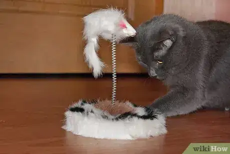 Image titled Get Along With Your Cat Step 7