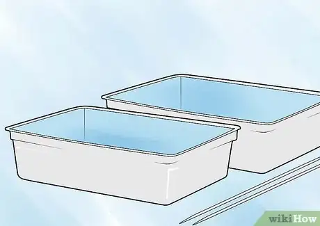 Image titled Germinate Beans on Moist Kitchen Paper Step 1