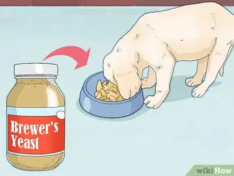 Image titled Prevent Flea Bites Step 6