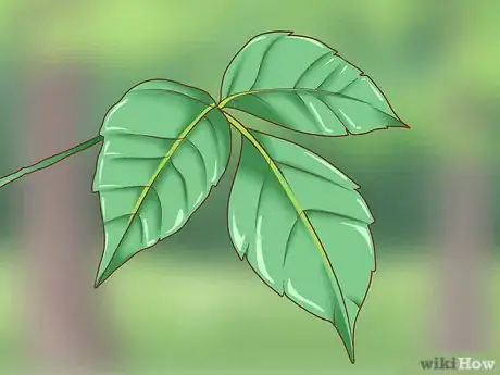 Image titled Dry Up Poison Ivy Rash Step 10