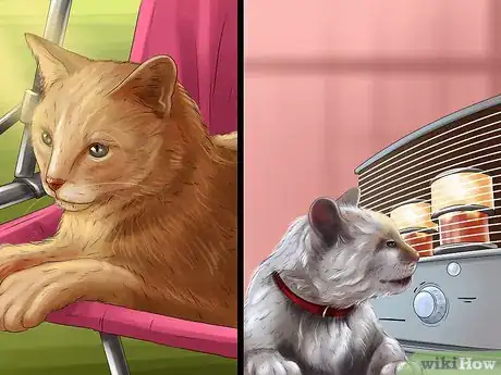 Image titled Check Your Cat's Nose Step 5