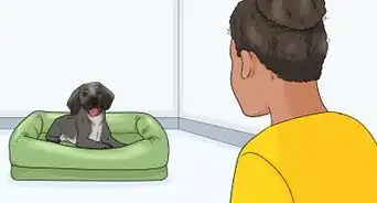 Keep a Dog Out of the Kitchen