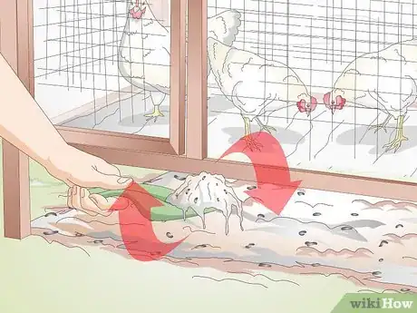 Image titled Treat Frostbite in Chickens Step 10