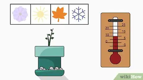 Image titled Plant Bush Lily Step 16