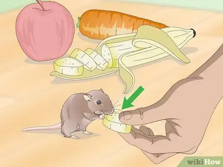Image titled Spoil Your Gerbils Step 2