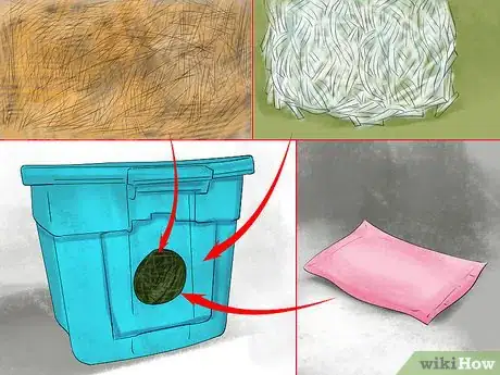 Image titled Get a Cat Used to Snow Step 1