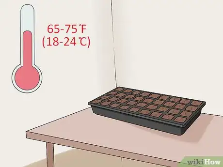 Image titled Plant Cabbage Step 4