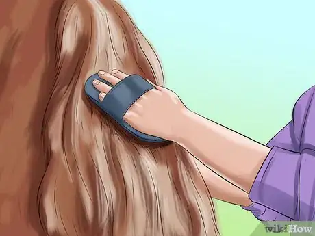 Image titled Care for a Draft Horse Step 10