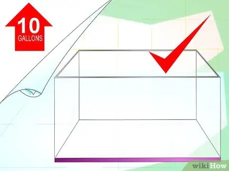 Image titled Make a Female Betta Community Step 1