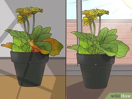 Image titled Buy Potted Flowers Step 13