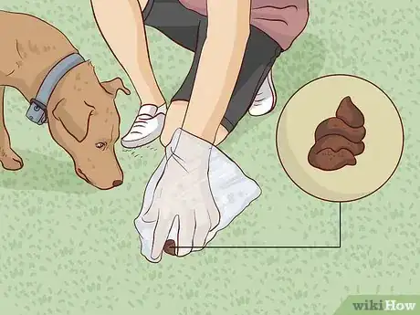 Image titled Prevent Red Tide Step 1