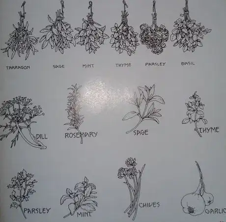 Image titled Studycomherbs