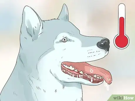 Image titled 660130 4