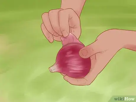 Image titled Grow Red Onions Step 12