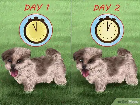 Image titled Prepare Your Small Dog for Apartment Living Step 1