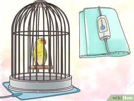 Image titled Treat Lovebirds with Psittacine Beak and Feather Disease Step 5