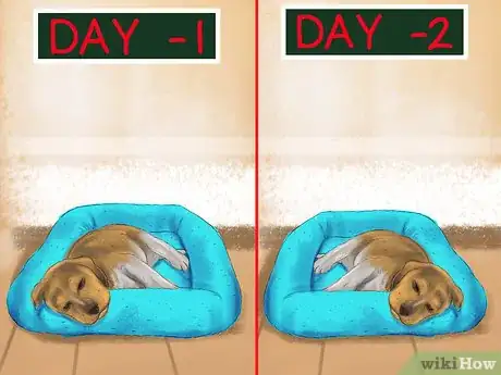 Image titled Be Patient with Your Puppy Step 9