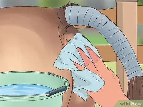 Image titled Prepare a Mare for Foaling Step 10