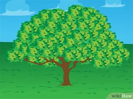 Image titled Celebrate Waitangi Day Step 6